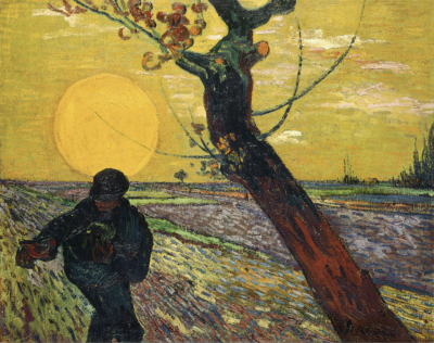 Semer malgr&eacute; la s&eacute;cheresse